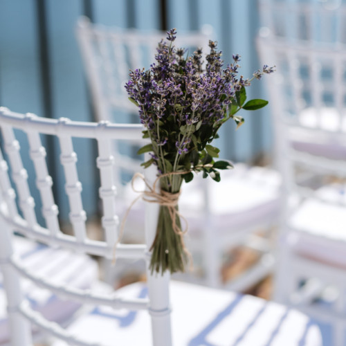 Wedding Chair Rentals Toronto Toronto Gala
